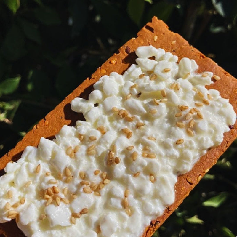 Fello Zesty BBQ Protein Bar Topped with Cottage Cheese and Sesame
